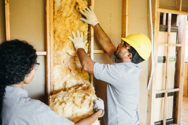 Insulation Replacement Services in Moon Lake, FL